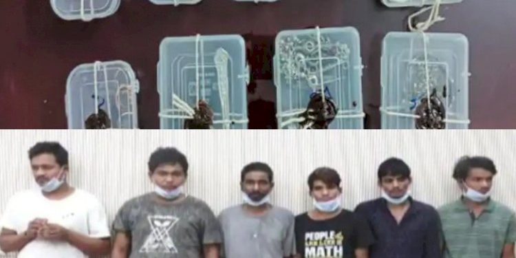 લાખોની ચોરીને અંજામ આપનાર આ છ શખ્સો નેપાળ ભાગવાની તૈયારીમાં હતા પણ…