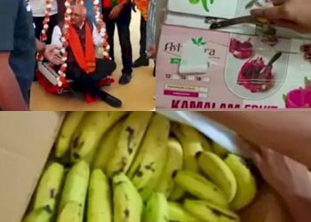 મુખ્યમંત્રીની તુલા કમલમ ફ્રુટથી કરવાની હતી, બોક્સ કમલમ  ફ્રુટના અને અંદર હતા કેળા.!!