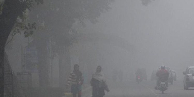 આ તારીખથી હજુ ઠંડીનો ચમકારો વધશે…