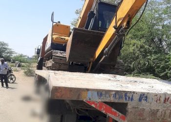 ટ્રકે 12 ઘેટા કચડી નાખતા કમકમાટીભર્યા મોત 