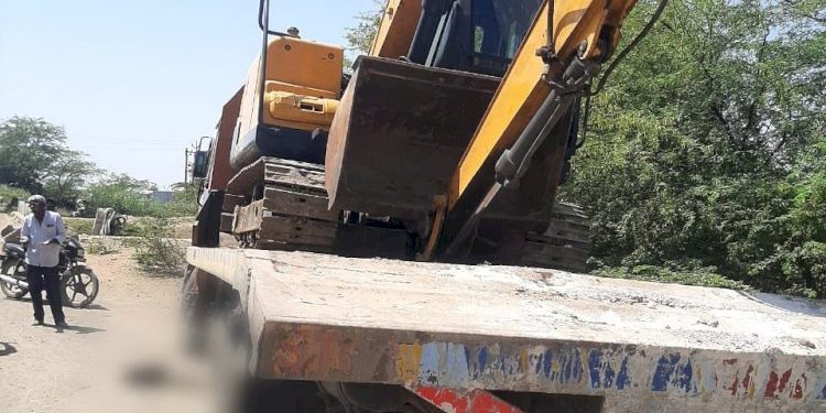 ટ્રકે 12 ઘેટા કચડી નાખતા કમકમાટીભર્યા મોત 