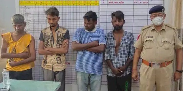 ઝડપાઈ ગેંગ જે બકરા ચોરી કરતી હતી