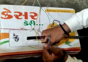 ગીર સોમનાથ LCB ટીમે કેરીના બોક્સ ખોલી તપાસતા અંદરથી મળી આવ્યો…