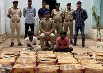 ચાલતી ટ્રકોની તાલપત્રી ચીરી નાખી અને ચોરી કરતી ગેંગના 2 શખ્સો ઝડપાયા 