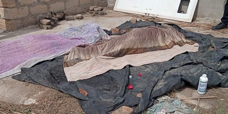 અપડેટ:યુવક યુવતિના મૃતદેહ મળી આવવા મામલે પોલીસની પ્રાથમિક તપાસમાં સામે આવ્યું કે..