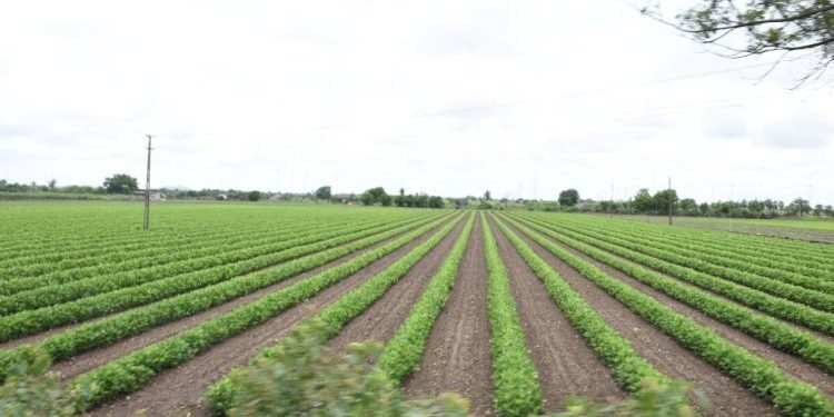 ગામડાઓમાં 27- 27વર્ષ સુધી જનતાએ આશિર્વાદ આપ્યા…પણ “તમે” શૂ આપ્યુ.?