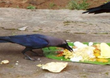 શ્રાદ્ધનો ઈતિહાસ અને મહત્વ..જાણો ક્યુ શ્રાદ્ધ ક્યા દિવસે કરશો