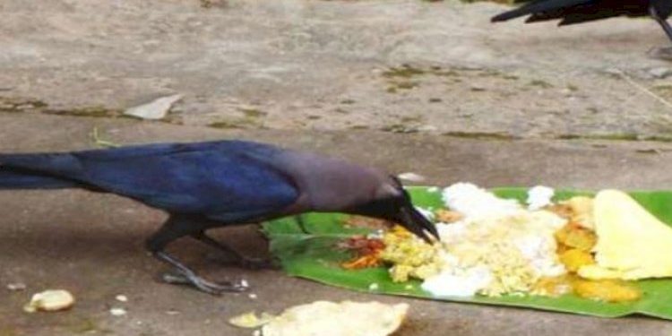 શ્રાદ્ધનો ઈતિહાસ અને મહત્વ..જાણો ક્યુ શ્રાદ્ધ ક્યા દિવસે કરશો