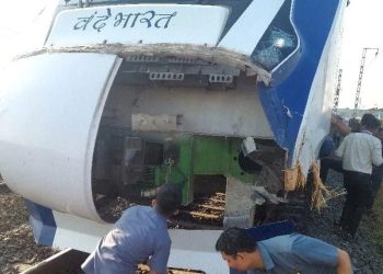 વંદે ભારત ટ્રેનનો આકાર અને રંગ પશુઓને આકર્ષે છે ?!