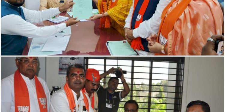 હાલારની સાત વિધાનસભા બેઠકો માટે ક્યા મહારથીઓ છે જંગમાં