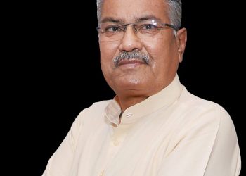 ગુજરાતમાં રવિ પાકનું 40.77 લાખ હેક્ટરમાં થયું વાવેતર