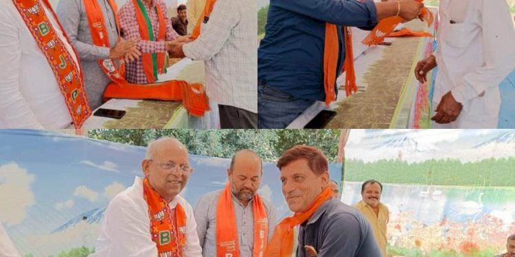 જામજોધપુરમાં ખીલશે તો કમળ જ…કેમ કે- નથી કોંગ્રેસની પક્કડ કે, નહીં ફરે સાવરણો….