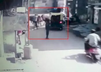 2 આખલાની લડાઈમાં, સ્કુલના બાળકો ભરેલ રીક્ષાનો વારો આવી ચઢ્યો 