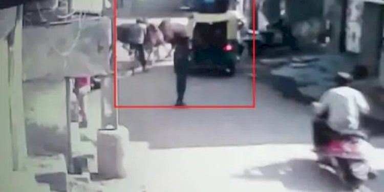 2 આખલાની લડાઈમાં, સ્કુલના બાળકો ભરેલ રીક્ષાનો વારો આવી ચઢ્યો 