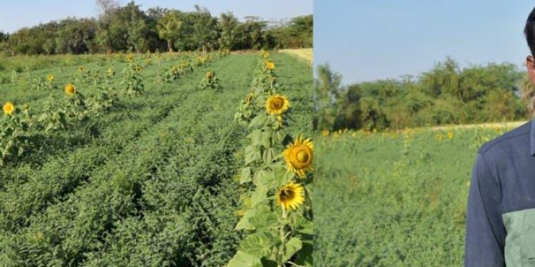 એન્જિનિયરિંગનો અભ્યાસ કરી ચૂકેલ યુવક કરે છે પ્રાકૃતિક ખેતી