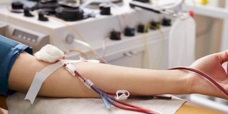 જામનગરનો સમાવેશ રાજ્યમાં સૌથી વધુ બ્લડબેન્ક ધરાવતાં જિલ્લાઓમાં