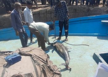 જામનગર તાલુકાના વાગડીયાનાં શખ્સે ‘બોગસ’ દાખલો બનાવ્યાનું સામે આવ્યું