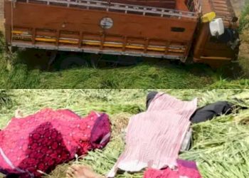 કડબ ભરેલ ટ્રકનું ટાયર ફાટી જતા પલ્ટી, 7 ના મોત 