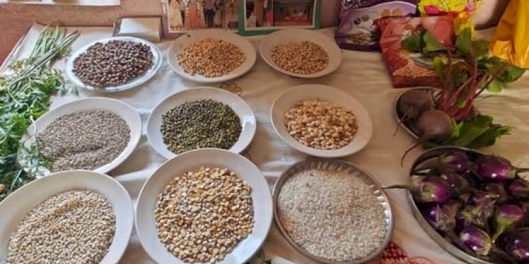 જામનગર સહિત રાજ્યભરમાં ઉજવાતા ‘પોષણ પખવાડા’ પાછળની હકીકતો !!