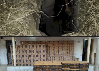 ખેતરમાં અન્ડરગ્રાઉન્ડ ટેંક કરી અને છુપાવવામાં આવ્યો હતો દારુ 