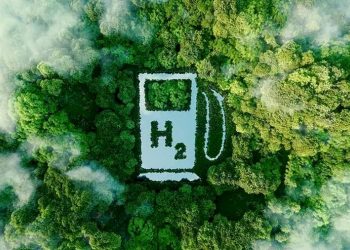 ગુજરાત સરકાર તરફથી ગ્રીન હાઈડ્રોજન માટે સૌથી વધુ જમીન, અદાણી કંપનીને મળી