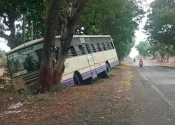 S.T BUS ઝાડ સાથે અથડાઈ જો કે મુસાફરોનો…