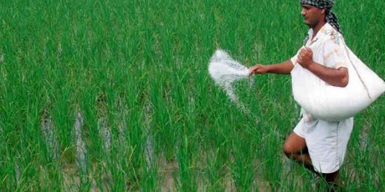 બિયારણ, ખાતર તથા જંતુનાશક દવામાં ભેળસેળ કરનારાઓ સામે સરકારની તપાસમાં શું સામે આવ્યું