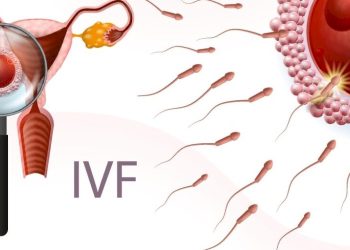 IVF ક્લિનિક સહિતના વૈભવશાળી ધંધાદારી એકમો પર સકંજો કસાશે