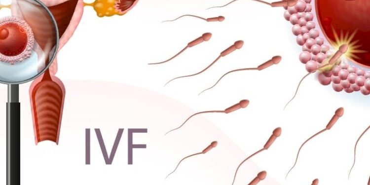 IVF ક્લિનિક સહિતના વૈભવશાળી ધંધાદારી એકમો પર સકંજો કસાશે