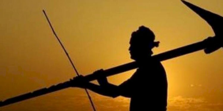 ખેડૂતોની આવક બમણી થવા અંગે કૃષિમંત્રીએ કહ્યું કે….