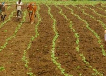 રાજ્યના ખેડૂતો માટે આ સમાચાર છે કામના