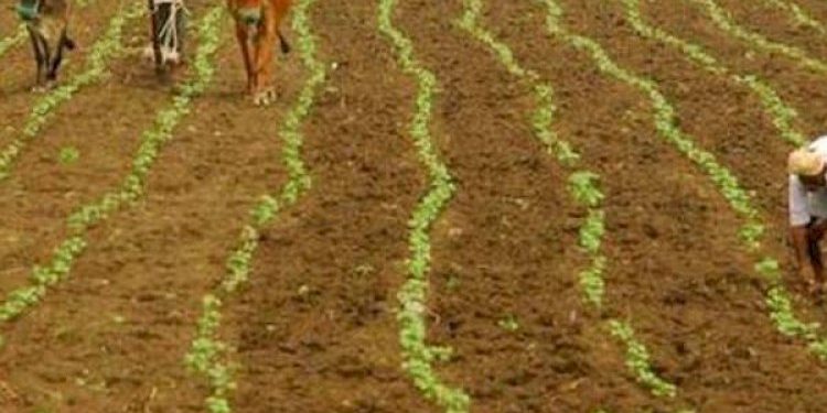 રાજ્યના ખેડૂતો માટે આ સમાચાર છે કામના