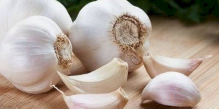 બજારમાં ધૂમ વેચાઈ રહ્યું છે નકલી અને ચાઈનીઝ લસણ…