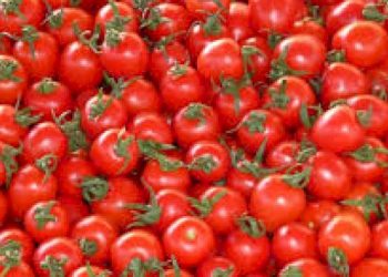 બજારમાં પુષ્કળ ટામેટાં આવશે ત્યારે ભાવ ઘટી જશે : સરકાર