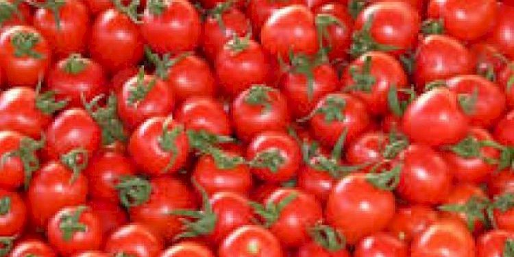 બજારમાં પુષ્કળ ટામેટાં આવશે ત્યારે ભાવ ઘટી જશે : સરકાર
