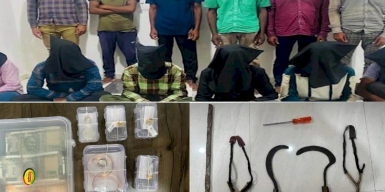 રાજકોટ જામનગર સહીત કેટલાય જિલ્લાઓમાં તરખાટ મચાવનાર ચડીબનિયાન ગેંગ ઝડપાઈ