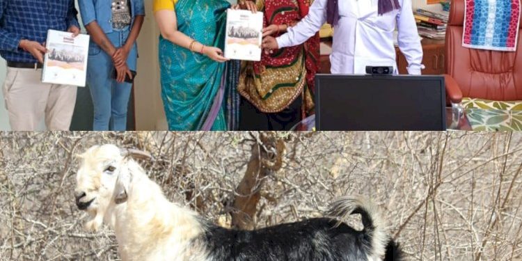 કોઇ માલધારી મહિલાએ પશુ ઓલાદના રજિસ્ટ્રેશન માટે દરખાસ્ત રજૂ કરી તેવો આ રાજ્યનો પ્રથમ કિસ્સો