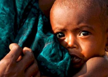 ગુજરાતમાં બાળકોમાં ભયજનક કુપોષણ ! બિહાર પછી આપણો નંબર !!