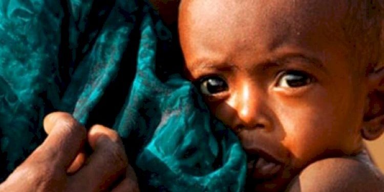 ગુજરાતમાં બાળકોમાં ભયજનક કુપોષણ ! બિહાર પછી આપણો નંબર !!