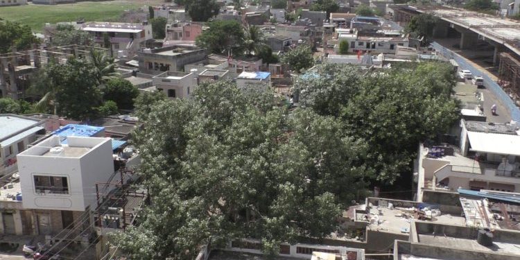 જામનગરની આ ‘રોયલ’ ઝૂંપડપટ્ટી હજૂ શા માટે નથી થતી ખાલી ?!