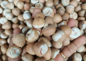 200 કરોડની દાણચોરીમાં  જામનગરનું નામ આવ્યું….