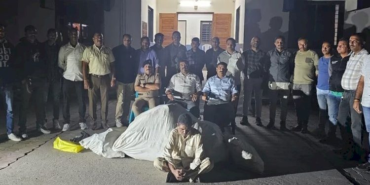 ગાંજાના છોડનું થયું હતું મોટું વાવેતર, SOG એ માર્યો છાપો 