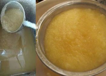 45 દિવસમાં જ 34,000 કિલો ભેળસેળિયું ઘી પકડાયું  !  લોકોના પેટમાં કેટલું ગયું  ?! 