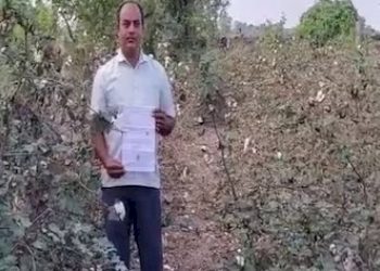 ગજ ની ઘોડી, સવા ગજનું ભાઠું  !!વીજતંત્રની ભવાઈ….