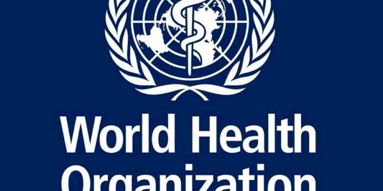 મે મહિના બાદ શું થઈ શકે ?! : વિશ્વ આરોગ્ય સંસ્થાએ આપી ચેતવણી….