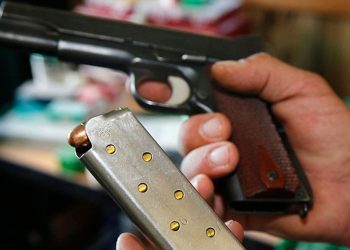 ક્યા જીલ્લામાં કેટલા હથિયાર પરવાના વિધાનસભામાં વિગતો જાહેર થઇ