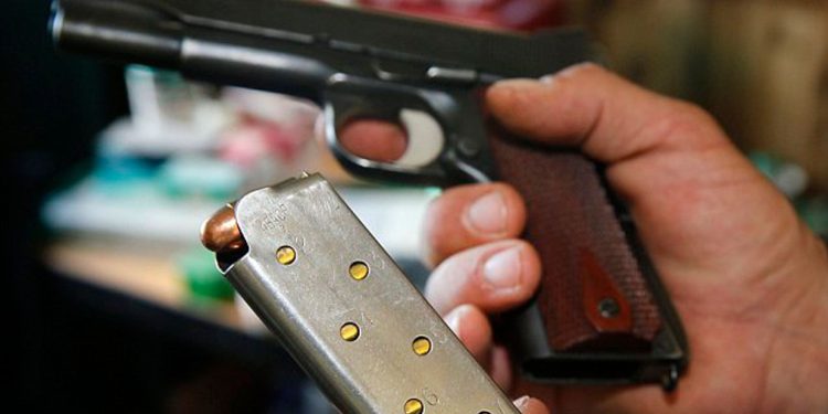 ક્યા જીલ્લામાં કેટલા હથિયાર પરવાના વિધાનસભામાં વિગતો જાહેર થઇ