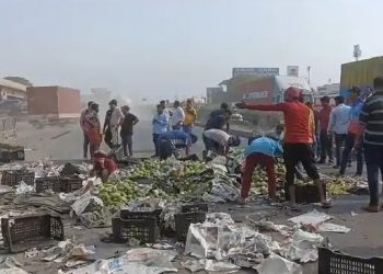 ….અને હાઈવે પર લોકોએ કેરી લેવા કરી પડાપડી