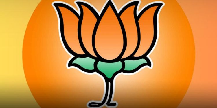 BJPએ ઈતિહાસ સર્જવા આ લોકસભા ચૂંટણીઓમાં….