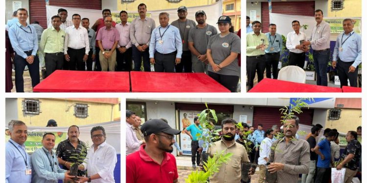 ICICI બેંક દરેડ બ્રાંચ દ્વારા વૃક્ષ વિતરણ કાર્યક્રમ યોજાયો
